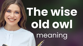 Unraveling Wisdom: The Tale of the Wise Old Owl