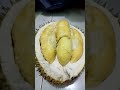 DURIAN LOKAL GUNUNGPATI SEMARANG 