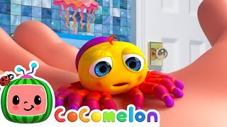 Itsy Bitsy Spider | CoComelon Furry Friends | Animals for Kids