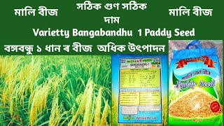 Mali No 1 Bangabandhu 1 Paddy Seed  | বঙ্গবন্ধু ১ ধান ৰ বীজ  বঙ্গবন্ধু ১ ধান খেতি অসম