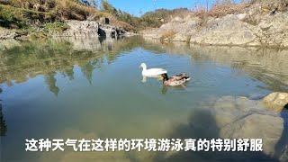 过了个年，都知道从河边回家了