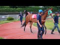 高知競馬　今年初めての新馬戦2歳＜パドック＞　2018年7月29日　p7290011