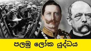 grade 11 history sinhala medium| 11 වසර ඉතිහාසය| 8 පාඩම| history grade 11 sinhala medium | lesson 8