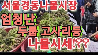 고사리 10키로가 25000원! 서울경동나물시장 각종 나물시세 타파!