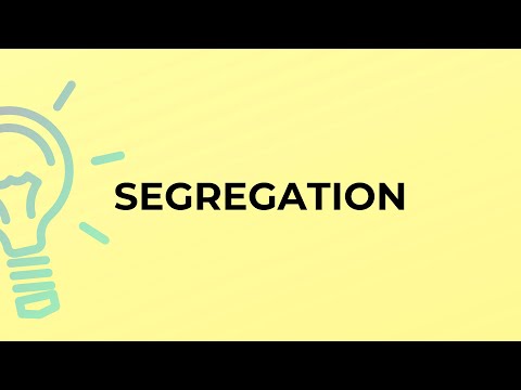 Is Segregational a word?