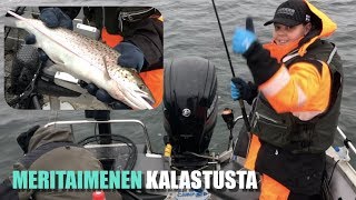 Meritaimenen kalastusta ulkomerellä marraskuussa - Meritaimen - Lusikkauistin - Jasu - Eumer Fishing