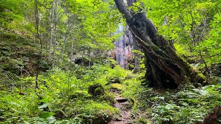 北海道遠軽町　山彦の滝   Engaru Town, Hokkaido   Yamabiko Falls