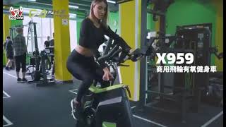 DHZ Fitness Spinning Bike X959