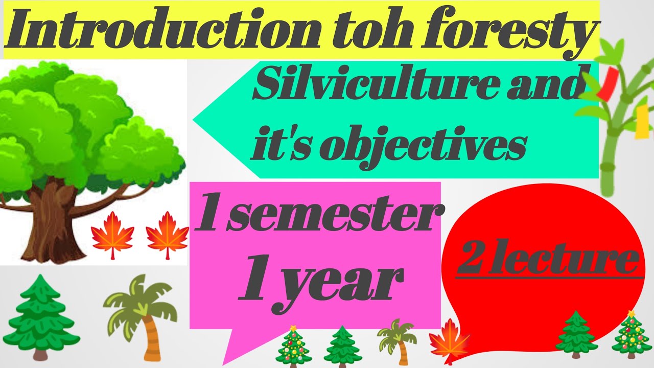 Introduction To Forestry 2nd Lecture 1 Semester 1 Year Bsc Agriculture ...