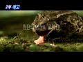 ebs 기획특집 special_ 마이크로의 세계 1부 또 하나의 세상_ 006