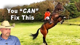 Why This Horse Balks And Rears And How To Fix It - Horse Training Problems