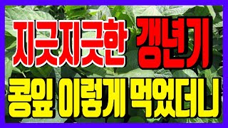 콩잎 놀라운 효능!!온몸 아팠던 증상! 콩잎이 살려줬다! 콩잎 이렇게 먹어야