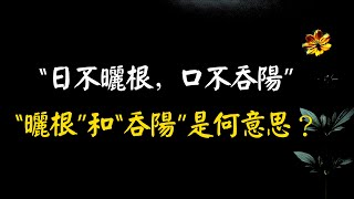 俗話：“日不曬根，口不吞陽”，“曬根”和“吞陽”是何意思？