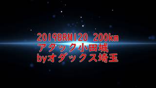 【自転車で200km】オダックス埼玉2019BRM120アタック小田城