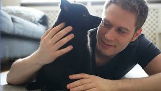 Heartwarming Video of Schipperke: HD Quality