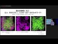 【脳科学の達人2022】村山 正宜「輝く脳、その動作原理」