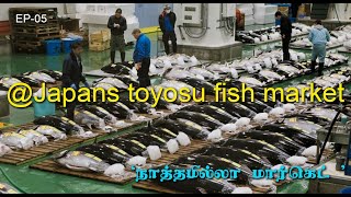 WORLD BIGGEST TUNA MARKET JAPAN TOKYO