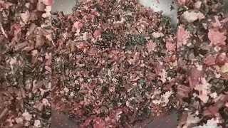 சிகப்பு தண்டு கீரை பொரியல்/Senkeerai /Red thandu keerai poriyal/Red spinach ..🥗