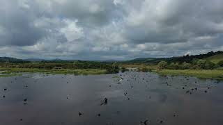 The Gearagh, Macroom, Co  Cork, Ireland 22 06 2023