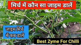 मिर्च में कौन सा जाइम प्रयोग करें | Mirch Ke Best Zyme | Mirch Me Konsa Zyme Dale | Best Zyme |