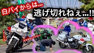 白バイから全力で逃げた結果...⁉️教習所でスキルアップ走行会‼️とキッズバイク体験✨