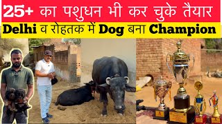 25 से 28 Kg दूध के पशुधन कर चुके तैयार | Delhi व रोहतक के Show में Dog बना Champion | Sale