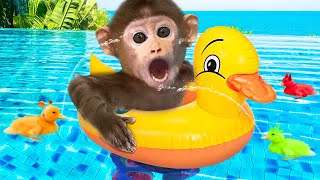 Monkey BeBe Adorably Bathes with a Duckling in the Giant Pool | MONKEY BEBE