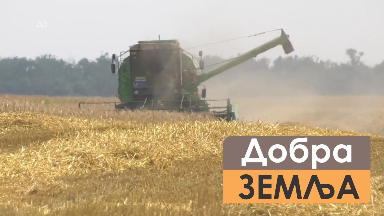 Dobra Zemlja Za 25 06 2023 Youtube