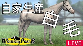 【ウイニングポスト8】白毛馬を自家生産しよう編！#68