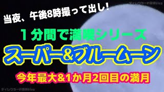 【1分間で満喫】2023年8月31日のスーパー＆ブルームーン！を撮って出し