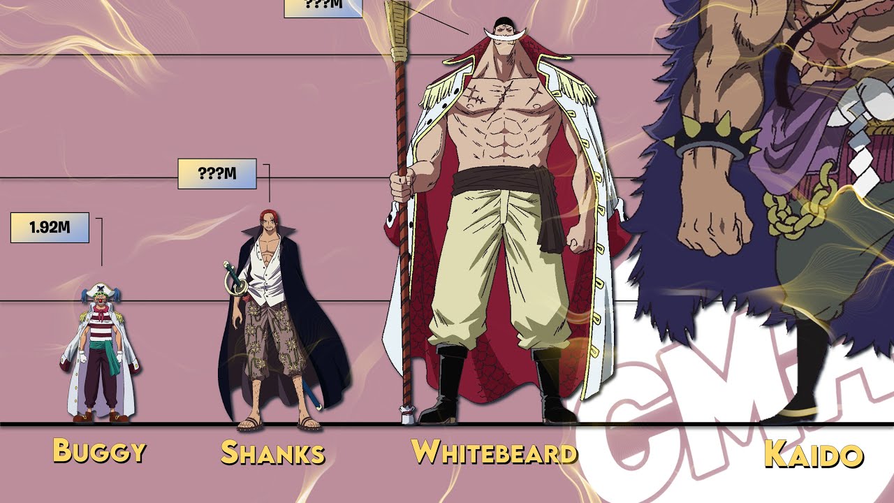 Size Comparison Of One Piece Characters From The Official 49 Off Size Comparison Of One Piece Characters From The Official 49 Off