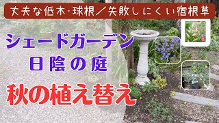 《シェードガーデン・日陰の庭／秋の植え替え作業》いっぱい枯れた庭をシェードガーデン向きの丈夫な低木・球根／、まとまりのある植栽を目指して植え替え／カラーリーフ