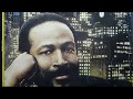 Marvin Gaye | Sexual Healing | Vinyl 24 bit/192 kHz Upload