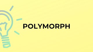 What is the meaning of the word POLYMORPH?