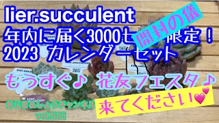 【多肉植物】vol.531 カレンダーセット開封です！ #花友フェスタ #多肉植物 #ガーデニング #diy