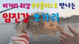 임진강에서 쏘가리 쉽게 만나기(feat. 최강비거리 무무플러스50HS)