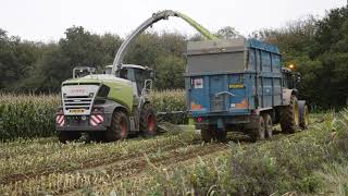 Maize 2021 - Claas 960 Jaguar Harvester Chopping Maize