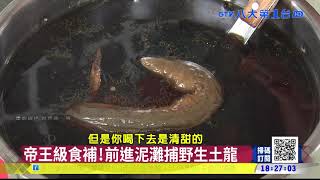 帝王級食補!前進泥灘捕野生土龍 八大民生新聞 2021102302