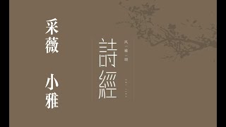 俗人读《诗》之《采薇》｜诗｜诗经｜诗三百｜雅｜小雅｜采薇