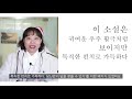 청소년 책 추천 찾아가는ㅊㅊㅊ 네 번째 시간