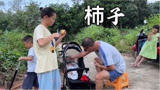 乡村媳妇今天买了杮子，孩子们吃完晚餐当饭后水果，个个都说好吃【一帆妈妈】