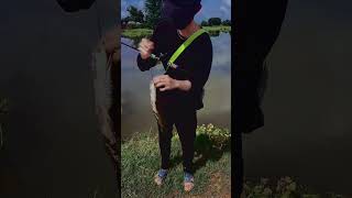 Fishing snackhead/got a big fish បបក់តីរ៉ស ចូលគីឡូធ្ងន់ទៀតហើយ