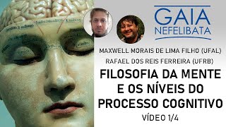 Filosofia da mente e os níveis do processo cognitivo - vídeo 1 de 4