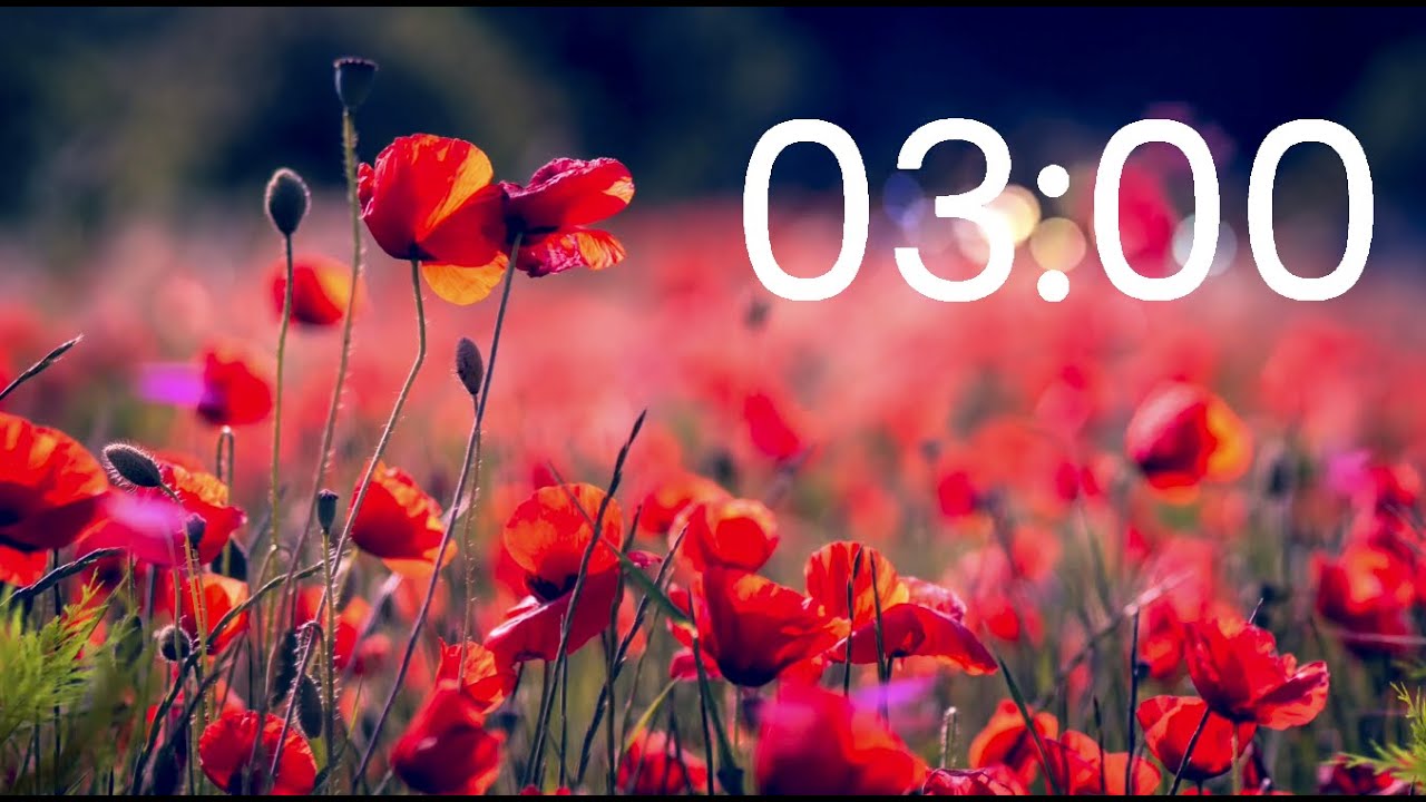 3 Minute Timer Flowers Butterflies Youtube