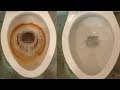 Put Vinegar into a Toilet, and Watch What Happens