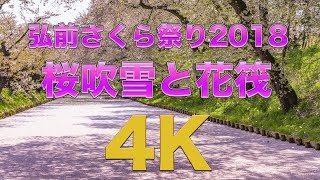 [4K] 弘前さくら祭り 桜吹雪と花筏 Amazing shower of cherry blossoms