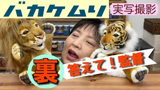 【日本画 実写撮影】裏バカケムリ！答えて！監督！！