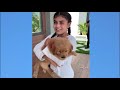 Puppy Surprise Compilation  Dog Surprise Compilation  Try Not to Cry