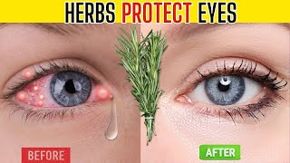 Top 10 Herbs That Protect Eyes and Repair Vision
