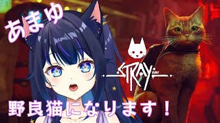 【Stray】猫になってサイバーシティの謎を解き明かしていく＃2【姫川あまゆ/新人Vtuber】